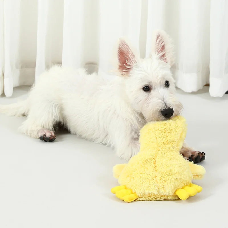 Pet Stuffed Toy